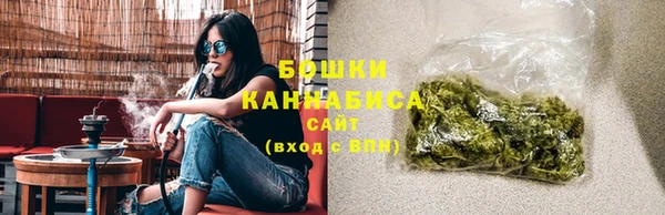apvp Краснослободск