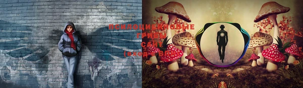 spice Красноперекопск