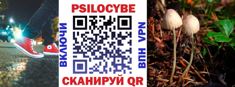 Купить где  Мантурово  Галлюциногенные грибы Magic Shrooms 